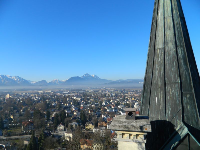 Pallotiner_ 010.jpg